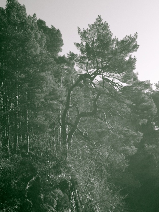 24102011366_2